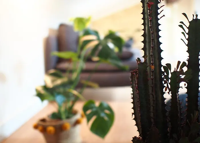 Apartment Maison Bouquiere Le Pigeonnier