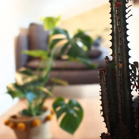 Διαμέρισμα Maison Bouquiere Le Pigeonnier