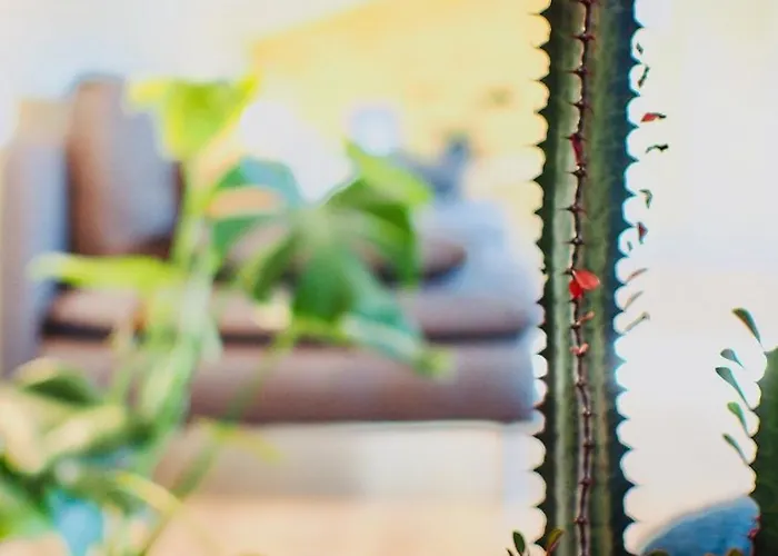 Maison Bouquiere Le Pigeonnier 公寓